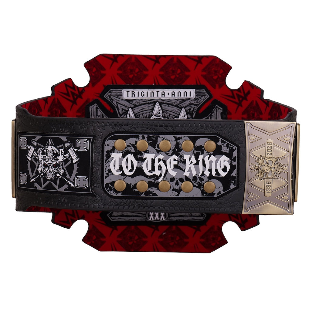 Triple H 30 Years The Authority WWE Championship Title Belt