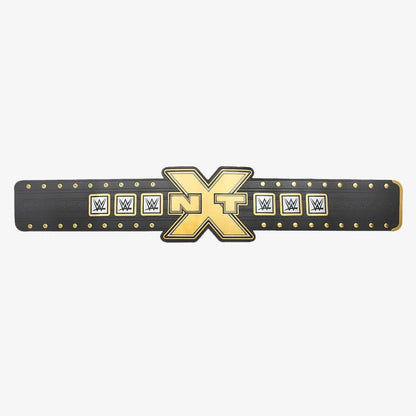 2012 NXT Championship Replica Title Belt