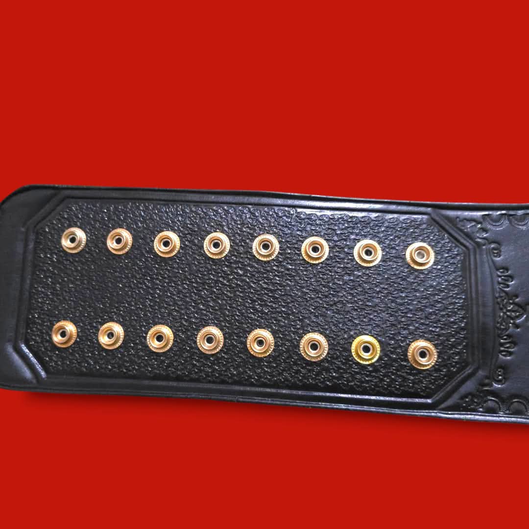 BIG GOLD WWE TITLE