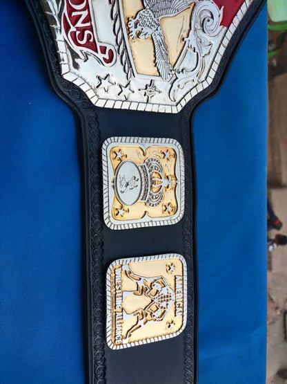 AWA Tag Team AWA World Title World Heavyweight