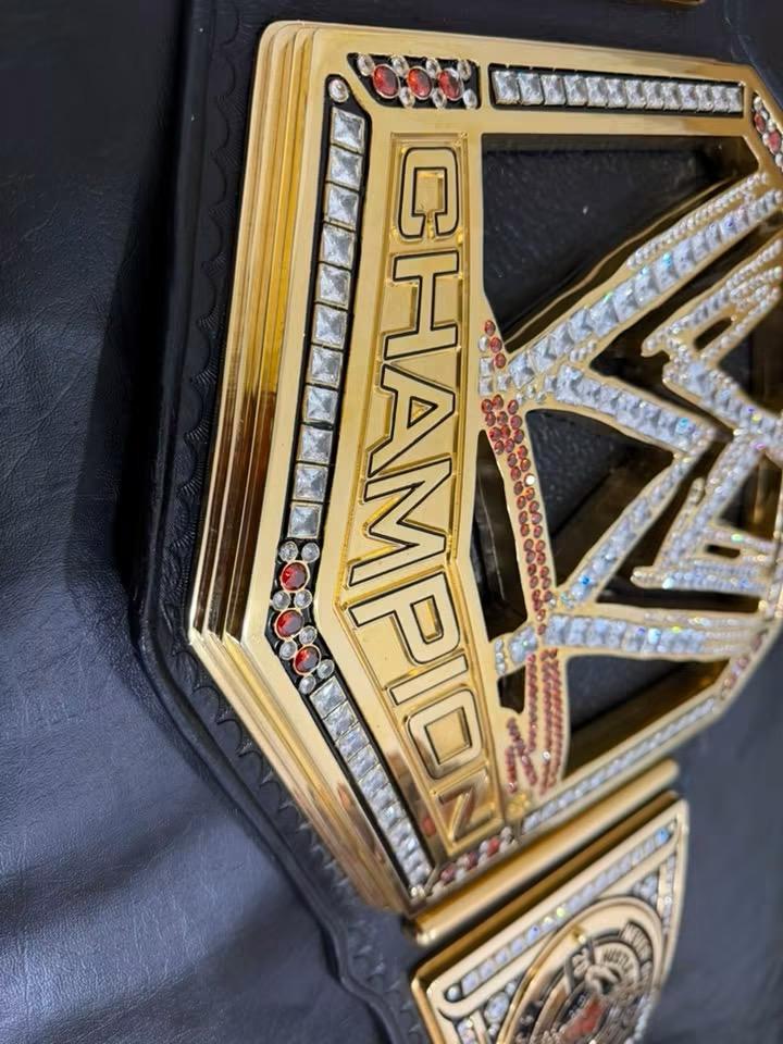 WWE 2013 Championship BELT