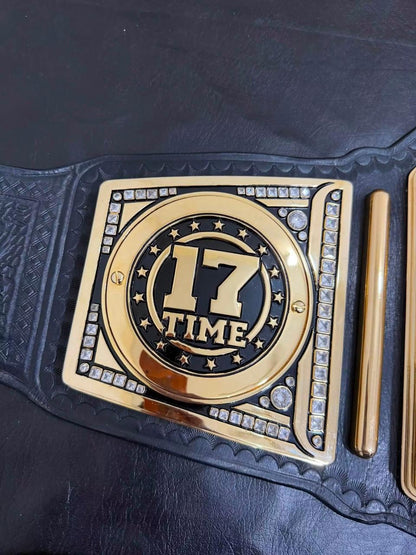 WWE 2013 Championship BELT