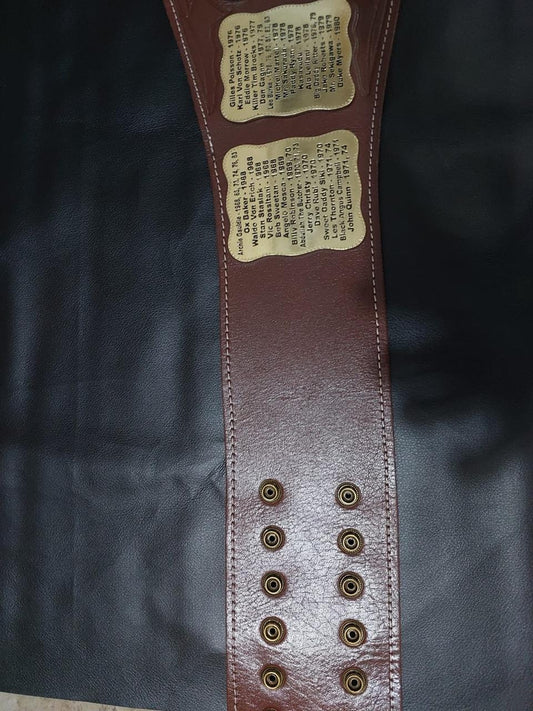 Stampede Wrestling NWA North American Wrestling Champion Belt
