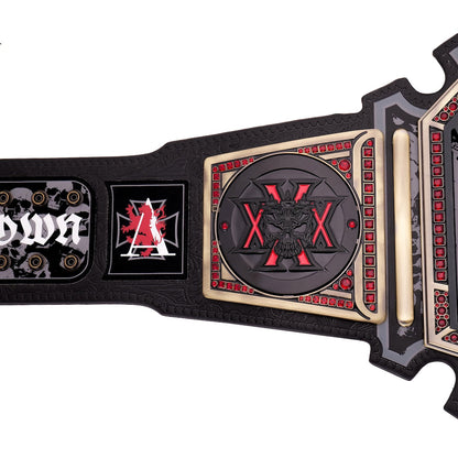 Triple H 30 Years The Authority WWE Championship Title Belt